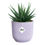 vibes fold rond mini 9cm lilas doux